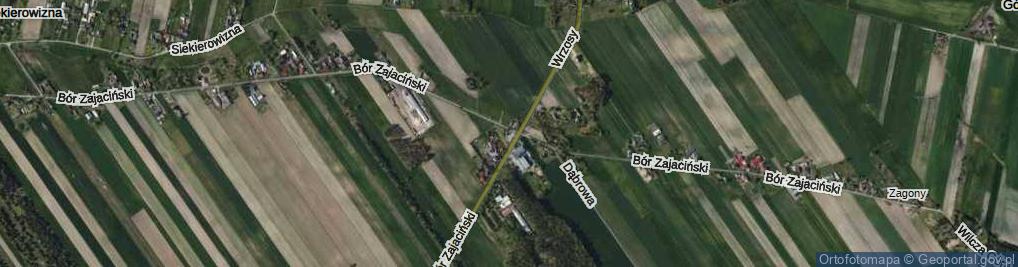 Zdjęcie satelitarne Plac Sojczyńskiego-Warszyca Stanisława pl.